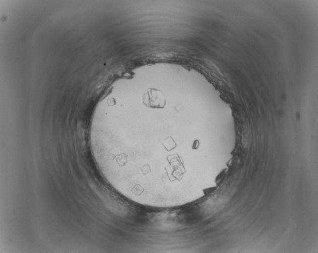 X0000067950366200605112131