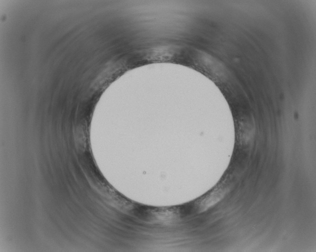 X0000067950370200605112131