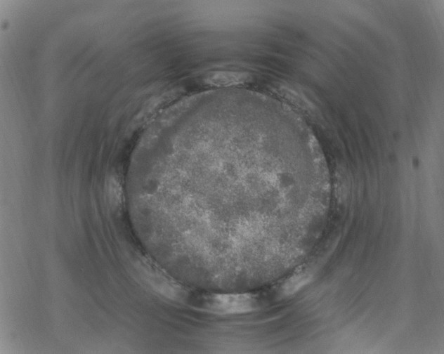 X0000067950371200605112131