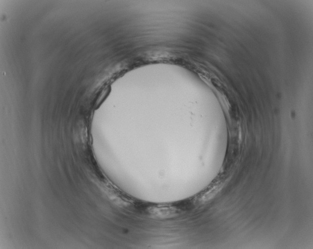 X0000067950372200605112131