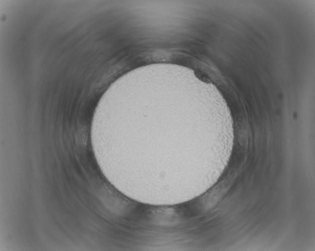 X0000067950374200605112131