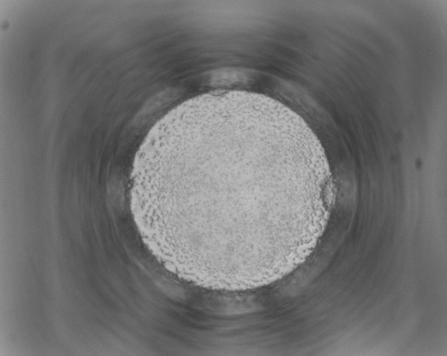 X0000067950375200605112131