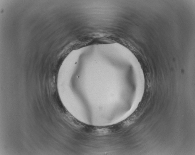 X0000067950376200605112131