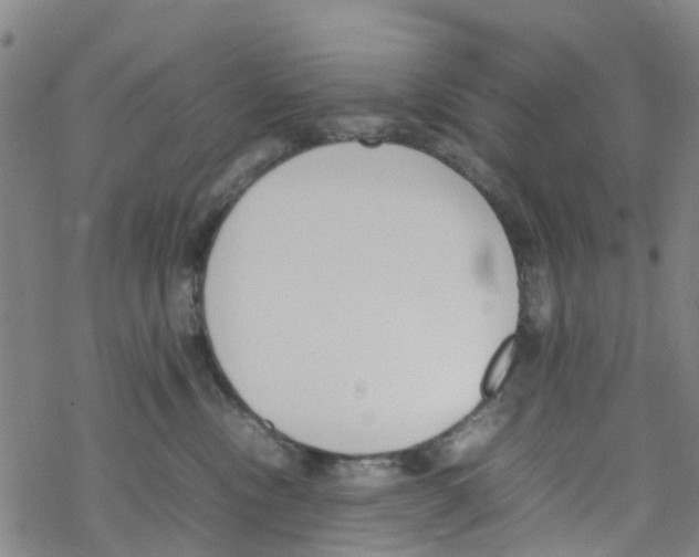 X0000067950378200605112132