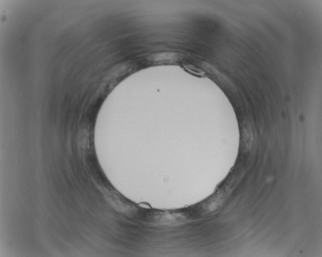 X0000067950379200605112132