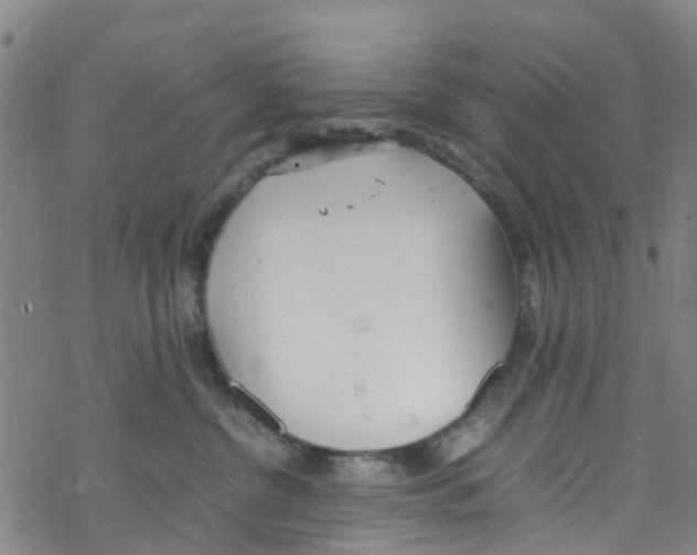 X0000067950380200605112132