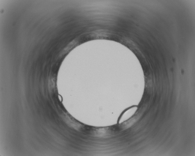 X0000067950382200605112132