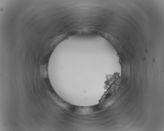 X0000067950383200605112132