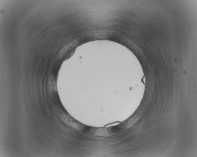 X0000067950384200605112132