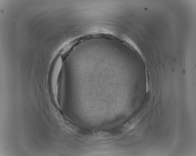 X0000067950387200605112131