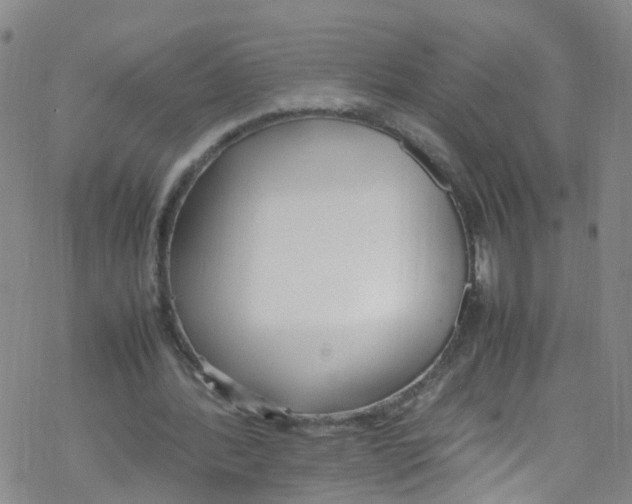 X0000067950388200605112131