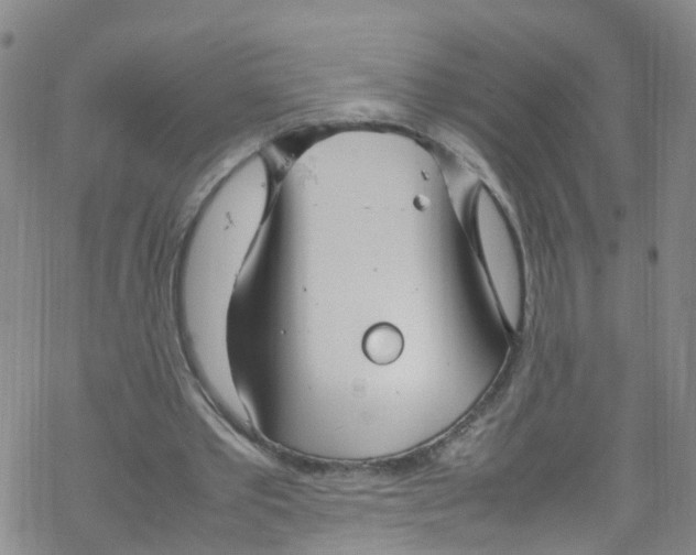 X0000067950389200605112131