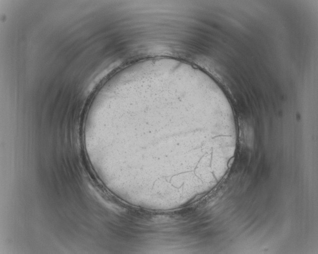 X0000067950390200605112131