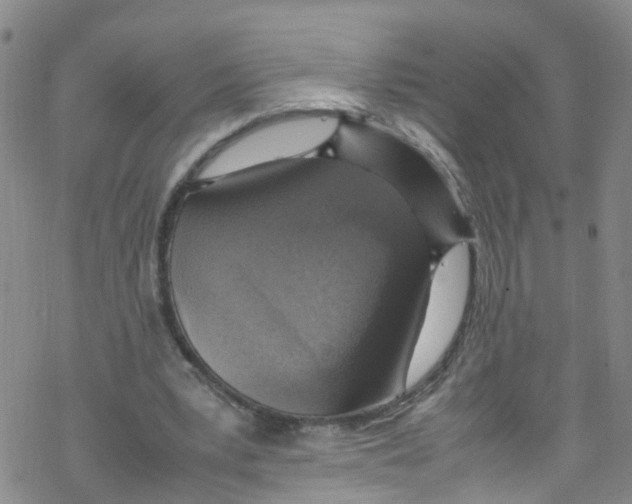 X0000067950391200605112131