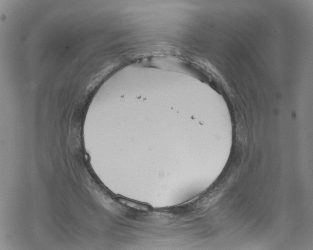 X0000067950393200605112131