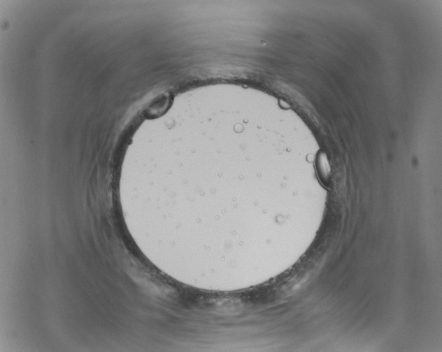 X0000067950395200605112131