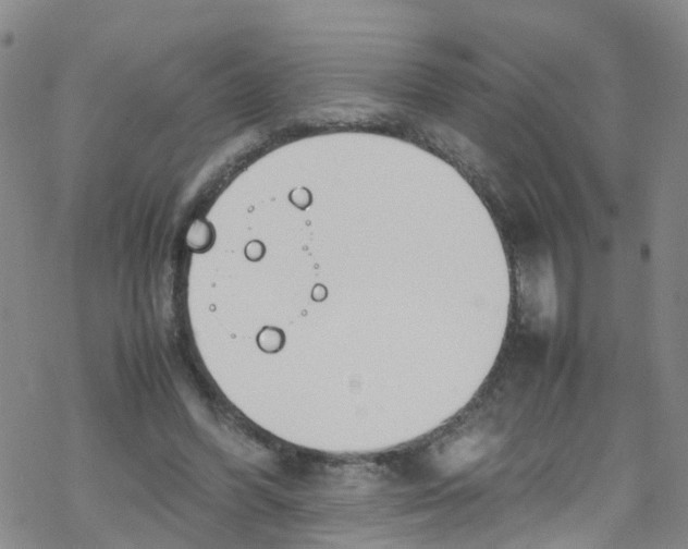 X0000067950396200605112131