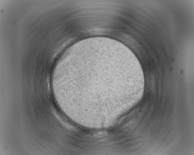 X0000067950398200605112131