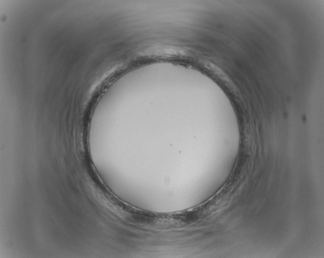 X0000067950399200605112130