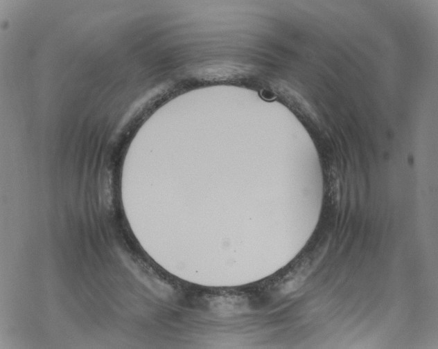 X0000067950400200605112130