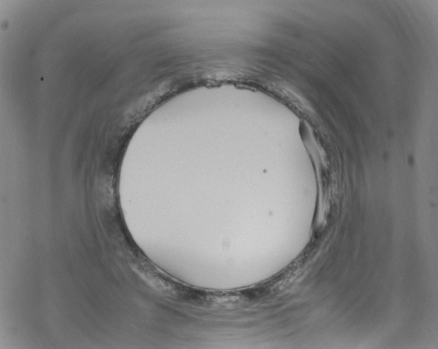 X0000067950401200605112130