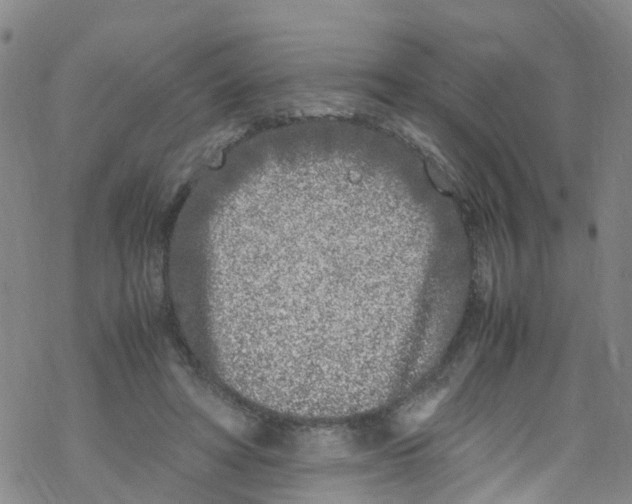 X0000067950402200605112130