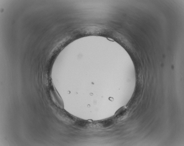 X0000067950403200605112130