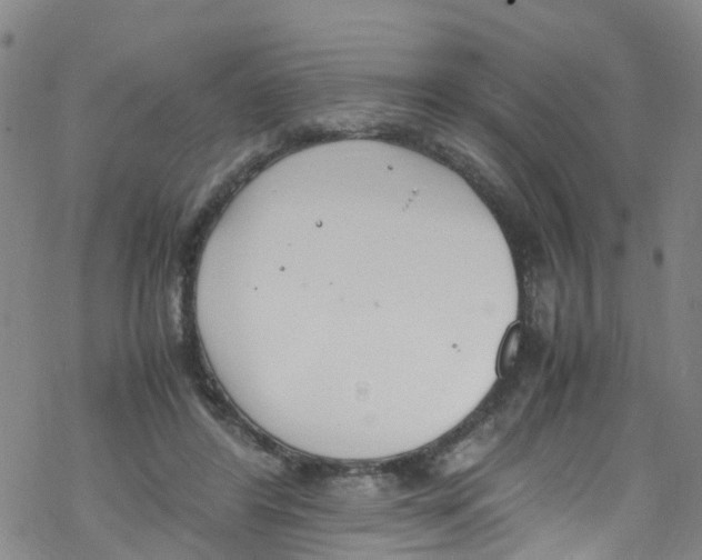 X0000067950404200605112130