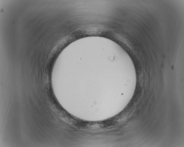 X0000067950407200605112130