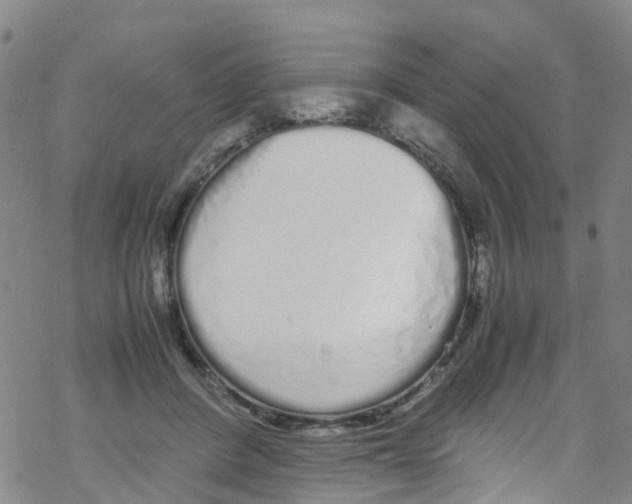 X0000067950408200605112130