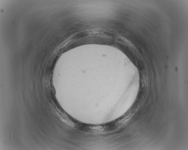 X0000067950409200605112130