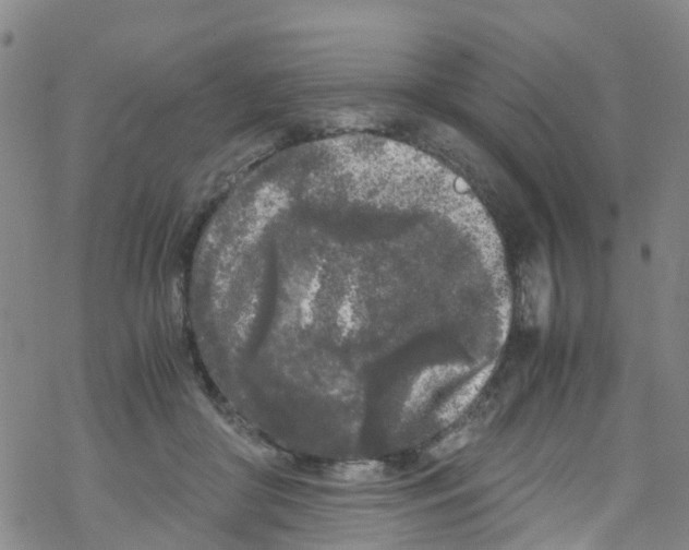 X0000067950410200605112130