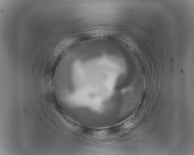 X0000067950411200605112130