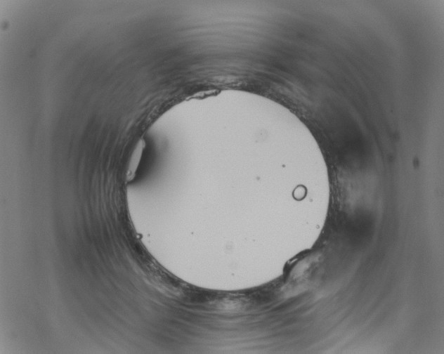 X0000067950412200605112130