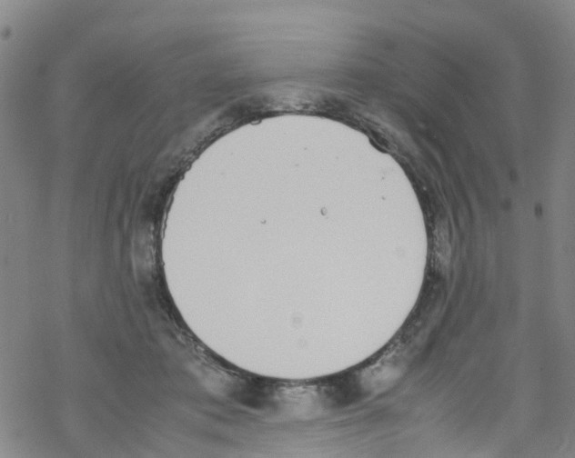 X0000067950413200605112130