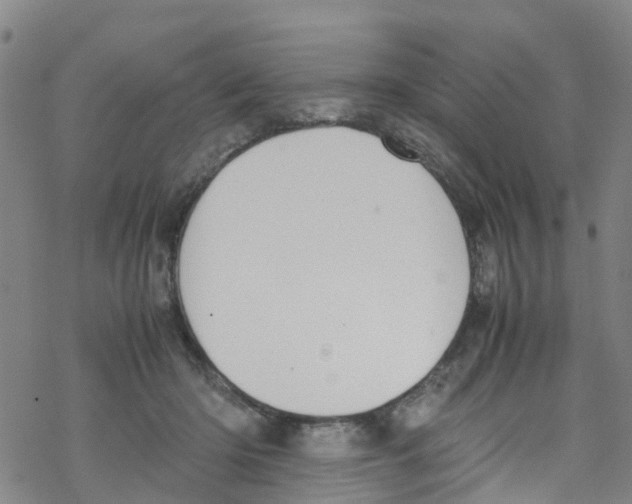 X0000067950414200605112130