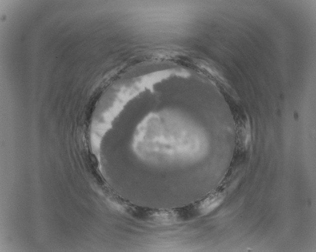 X0000067950415200605112130