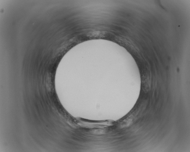 X0000067950416200605112130