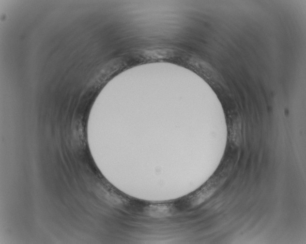 X0000067950418200605112130