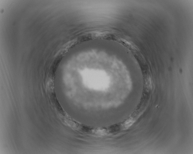 X0000067950419200605112130