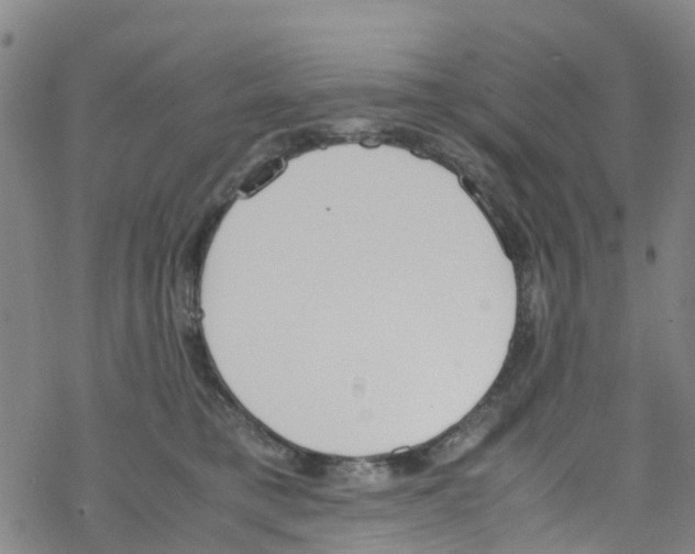 X0000067950421200605112130