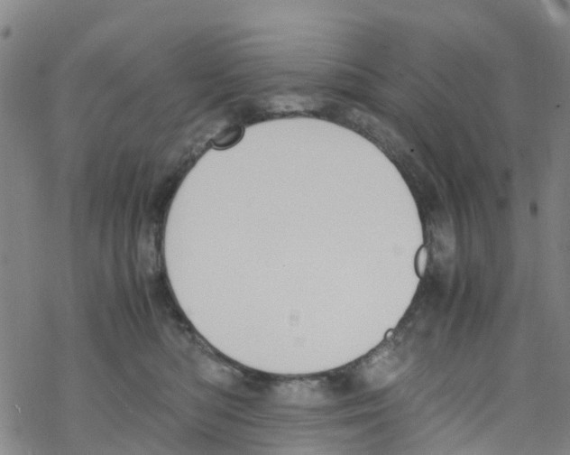 X0000067950422200605112130