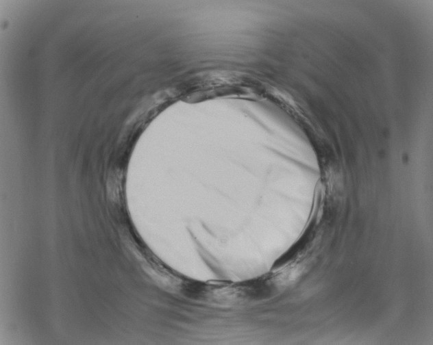 X0000067950423200605112130