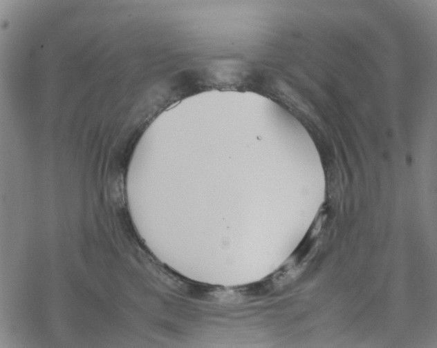 X0000067950425200605112130