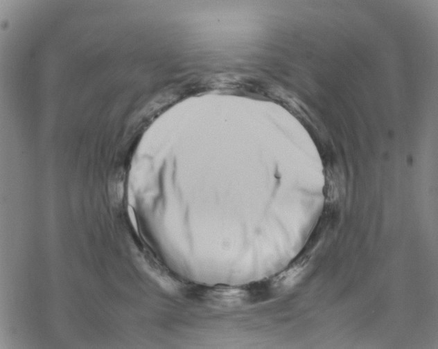 X0000067950427200605112130