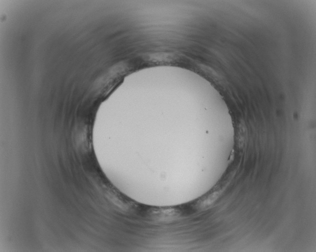 X0000067950428200605112130