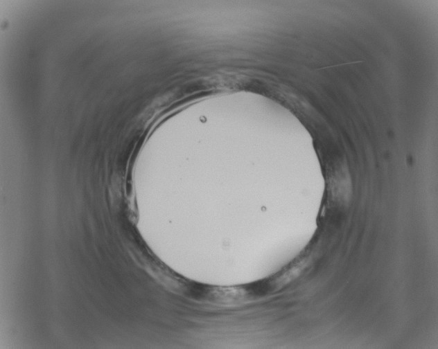 X0000067950429200605112130