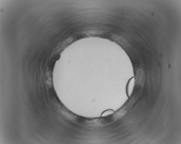 X0000067950430200605112130