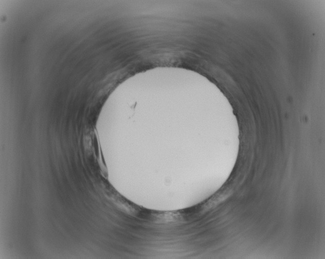 X0000067950432200605112130