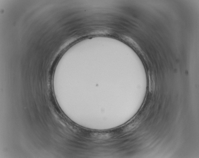 X0000067950435200605112129